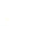 mircosoft